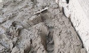 IMG-20260121-WA0044(1)
