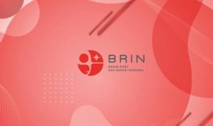 BRIN