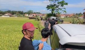 bunuh