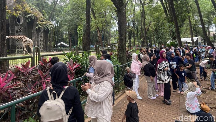 WISATA