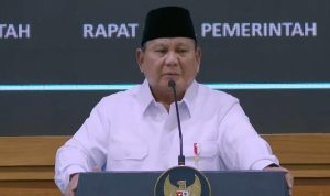 bowo