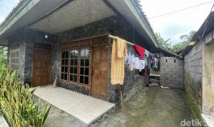 11 BAYI