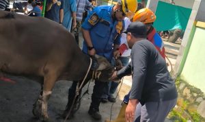 SAPI