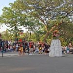 TMII