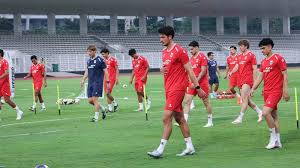 TIMNAS
